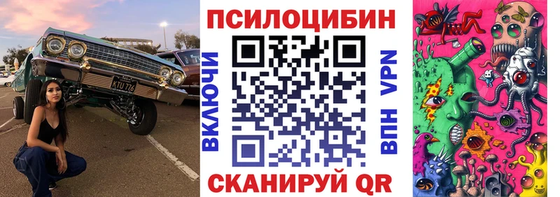 Галлюциногенные грибы Psilocybine cubensis  Абаза 